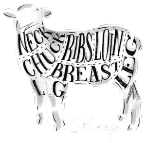 lamb